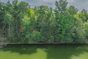 #13  Off Anton Trl, Phelps,  WI 54554 USA