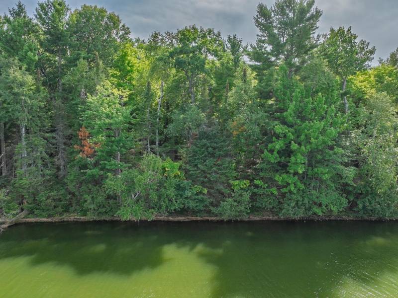 #13  Off Anton Trl, Phelps,  WI 54554 USA