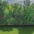 #13  Off Anton Trl, Phelps,  WI 54554 USA