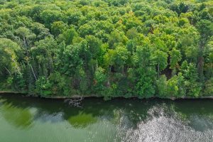 #13  Off Anton Trl, Phelps,  WI 54554 USA