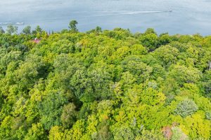 #13  Off Anton Trl, Phelps,  WI 54554 USA