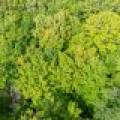 #13  Off Anton Trl, Phelps,  WI 54554 USA