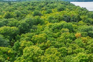 #13  Off Anton Trl, Phelps,  WI 54554 USA