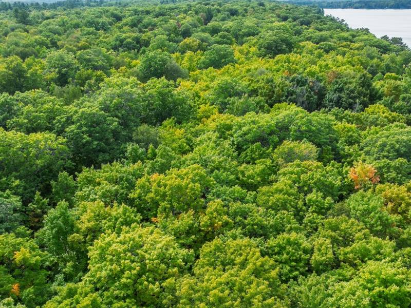 #13  Off Anton Trl, Phelps,  WI 54554 USA