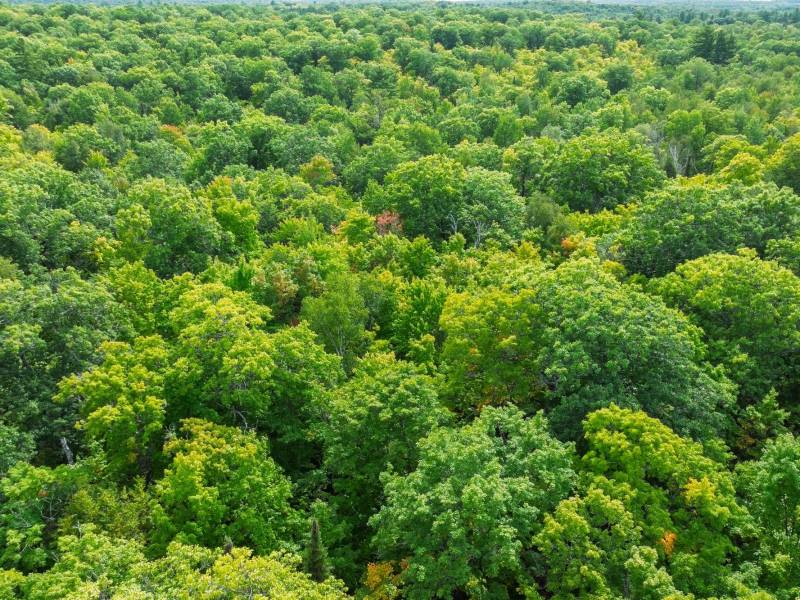 #13  Off Anton Trl, Phelps,  WI 54554 USA