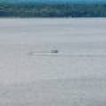 #13  Off Anton Trl, Phelps,  WI 54554 USA
