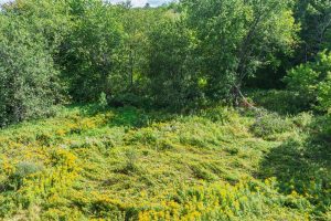 Off Coveyville Rd #1414, , Phelps,  WI 54554 USA