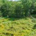 Off Coveyville Rd #1414, , Phelps,  WI 54554 USA