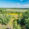 Off Coveyville Rd #1415, , Phelps,  WI 54554 USA