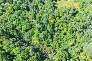 Off Coveyville Rd #1415, , Phelps,  WI 54554 USA