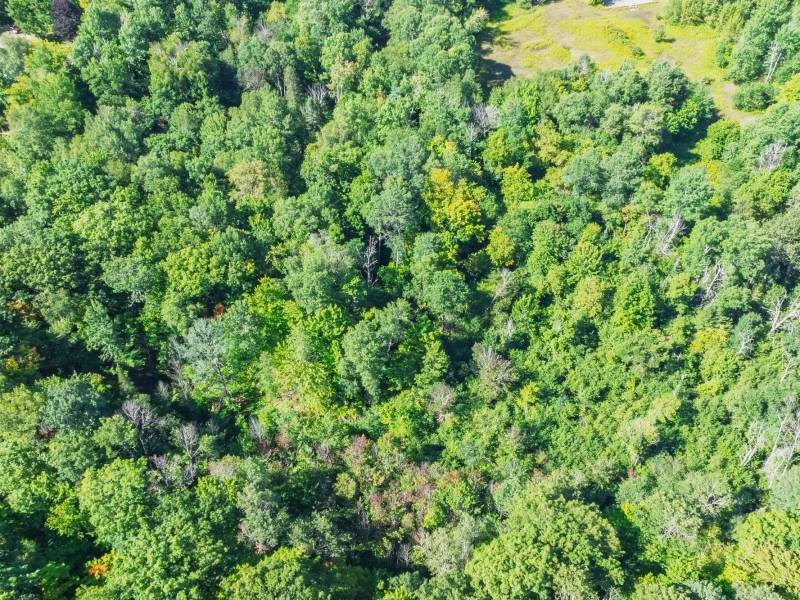 Off Coveyville Rd #1415, , Phelps,  WI 54554 USA