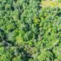 Off Coveyville Rd #1415, , Phelps,  WI 54554 USA