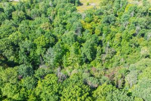 Off Coveyville Rd #1415, , Phelps,  WI 54554 USA