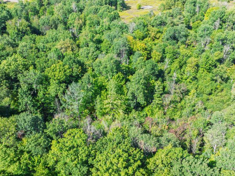 Off Coveyville Rd #1415, , Phelps,  WI 54554 USA