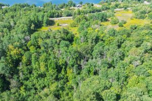 Off Coveyville Rd #1415, , Phelps,  WI 54554 USA