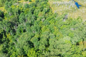 Off Coveyville Rd #1415, , Phelps,  WI 54554 USA