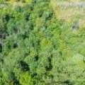 Off Coveyville Rd #1415, , Phelps,  WI 54554 USA