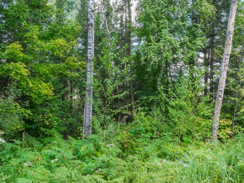 Off Coveyville Rd #1415, , Phelps,  WI 54554 USA