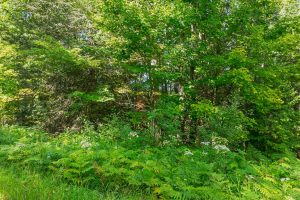 Off Coveyville Rd #1415, , Phelps,  WI 54554 USA