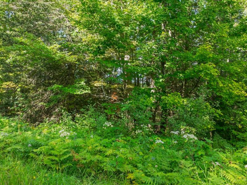 Off Coveyville Rd #1415, , Phelps,  WI 54554 USA
