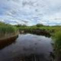 Off CTH M, , Merrill,  WI 54452 USA