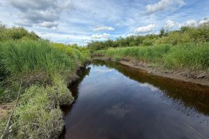 Off CTH M, , Merrill,  WI 54452 USA