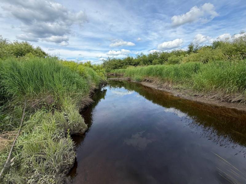 Off CTH M, , Merrill,  WI 54452 USA