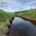Off CTH M, , Merrill,  WI 54452 USA