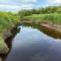 Off CTH M, , Merrill,  WI 54452 USA