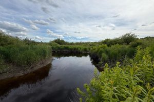 Off CTH M, , Merrill,  WI 54452 USA