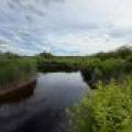 Off CTH M, , Merrill,  WI 54452 USA