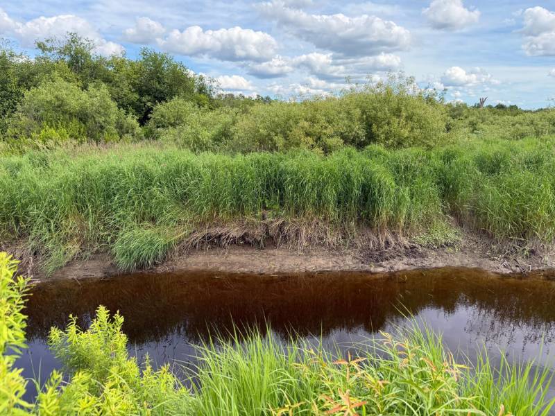 Off CTH M, , Merrill,  WI 54452 USA
