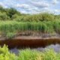 Off CTH M, , Merrill,  WI 54452 USA