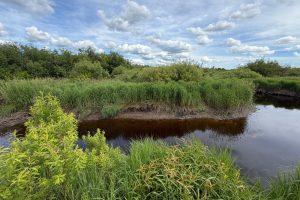 Off CTH M, , Merrill,  WI 54452 USA