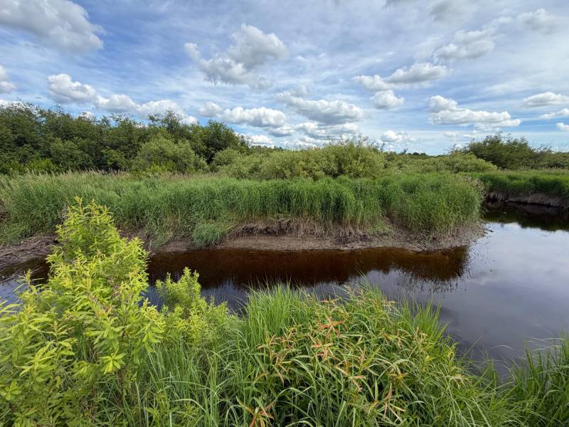 Off CTH M, , Merrill,  WI 54452 USA
