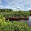 Off CTH M, , Merrill,  WI 54452 USA
