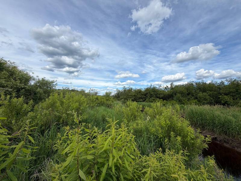 Off CTH M, , Merrill,  WI 54452 USA
