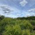 Off CTH M, , Merrill,  WI 54452 USA