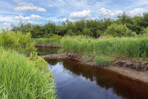 Off CTH M, , Merrill,  WI 54452 USA