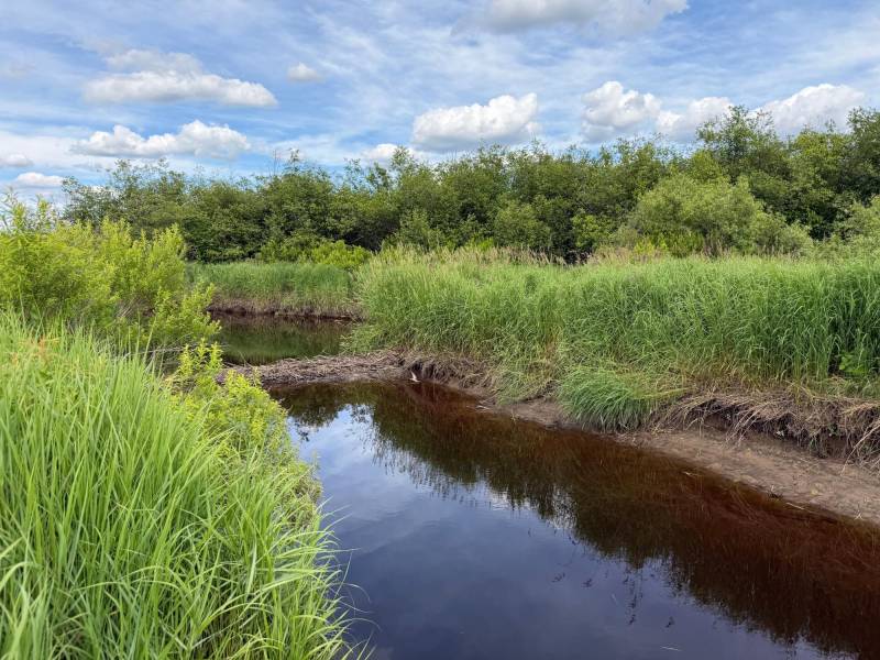 Off CTH M, , Merrill,  WI 54452 USA