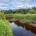 Off CTH M, , Merrill,  WI 54452 USA