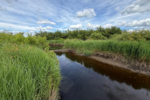 Off CTH M, , Merrill,  WI 54452 USA