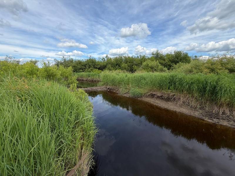 Off CTH M, , Merrill,  WI 54452 USA