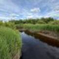 Off CTH M, , Merrill,  WI 54452 USA