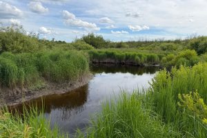 Off CTH M, , Merrill,  WI 54452 USA