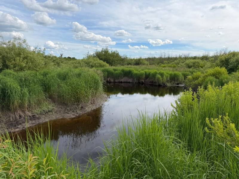 Off CTH M, , Merrill,  WI 54452 USA