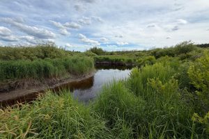Off CTH M, , Merrill,  WI 54452 USA