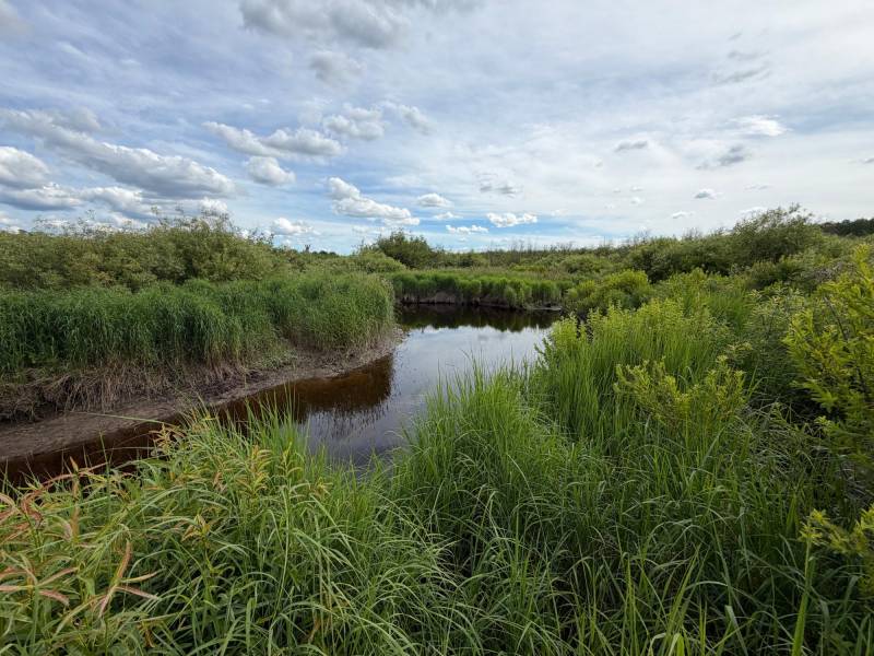 Off CTH M, , Merrill,  WI 54452 USA