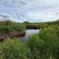 Off CTH M, , Merrill,  WI 54452 USA