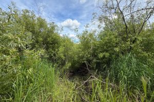 Off CTH M, , Merrill,  WI 54452 USA